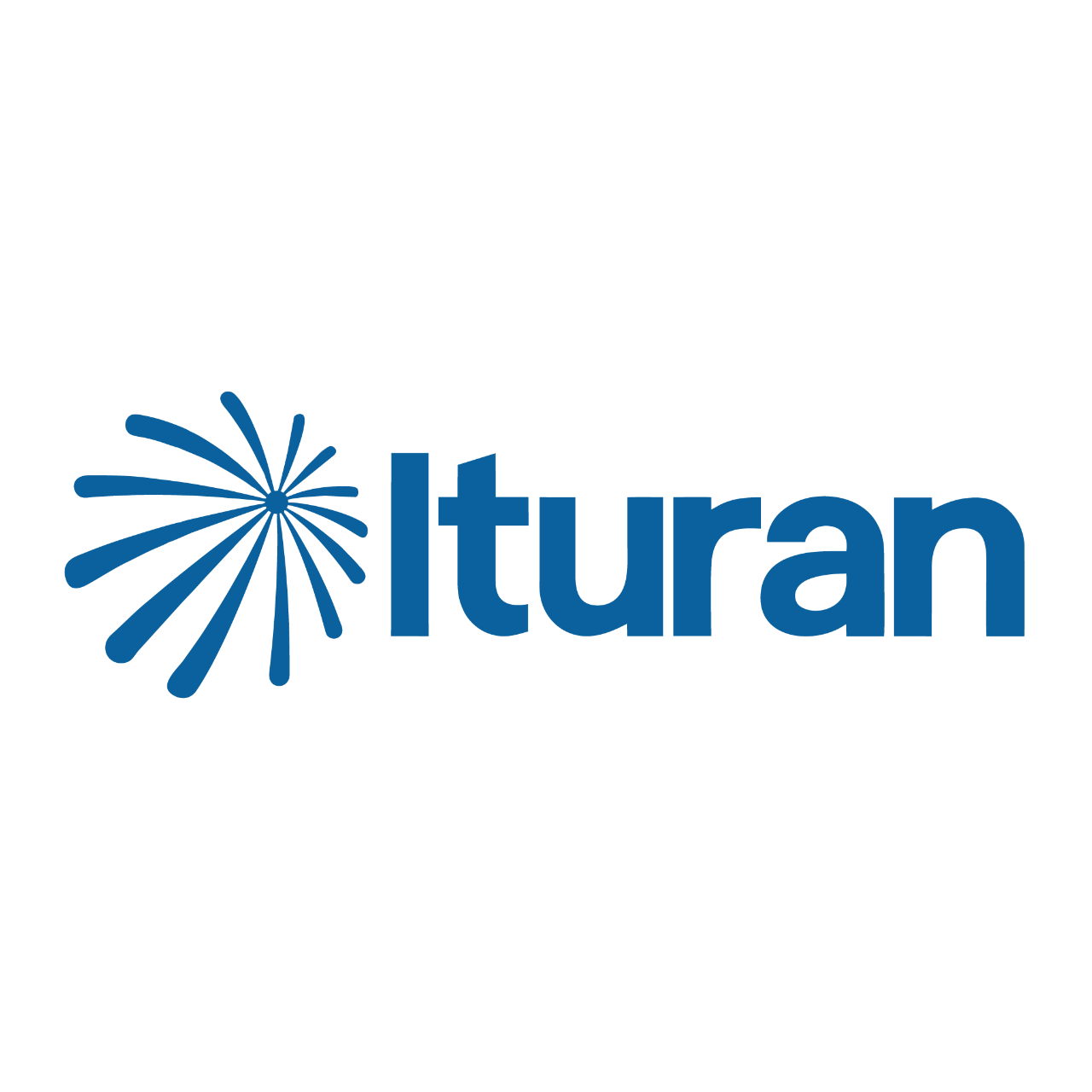 Logo Ituran